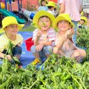 삼성고추 네이버블로그