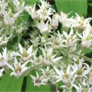 썬힐하우스 이미지