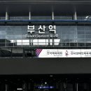 송정 | 2025 여름휴가는 부산 여행 (+ 송정 요서프 후기)