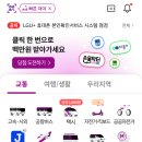 티머니포항버스
