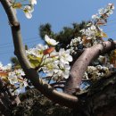 은현농장 이미지