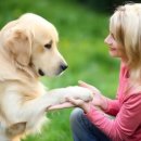 죽전동물병원 이미지