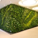 수직의 정원 이미지