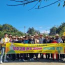 고흥유자향 이미지