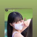 치어리 이미지