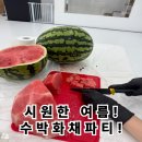 경희대 수청태권도 이미지