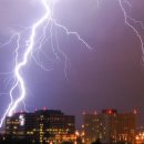 우산목장 이미지