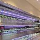 청담추어탕 | 어른들 모시고 가기 좋은 성남 청담추어탕 본점 내돈내산 후기🥘