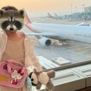 배들약국 이미지