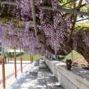 벌떼축산 이미지