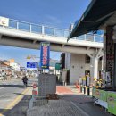 파묘 | (업체×)안동 신시장 제사 장보기 파묘 이장 가족묘 후기