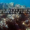 대안목장 이미지