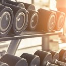 아바니핏 이미지