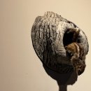 국립낙동강생물자원관 | [경북 상주] 아이랑 제일 먼저 가야하는 곳! 놀이터 마감 전 꼭 들러야 할 국립낙동강생물자원관 후기