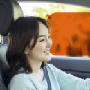 에스썬팅