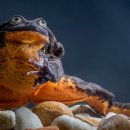 gc-camera-035 이미지