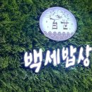 만병은같다백세건강 | 광명 밤일마을 한정식 백세밥상 한상 가득한 12첩 밥상 반찬 무한리필의 맛집