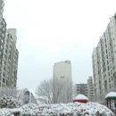 현대시장(분당) 이미지