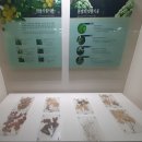 문경자연생태박물관 이미지