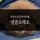 냉큼, 오레오 이미지