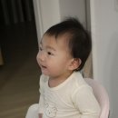 비원전자 이미지