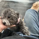 평화의샘유치원 이미지