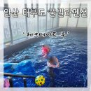 체크메이트 룩 이미지