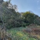 수두리경로당 이미지