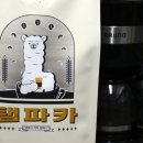 탬파카커피컴패니
