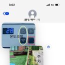 위드독애견스파풀빌라 이미지