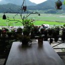 꽃님이네 카페 이미지