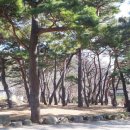 보현사샘물 이미지