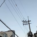 충대빛나약국 | 나약하고어리석은연민에빠져버린듯(feat.망신살과 징크스)