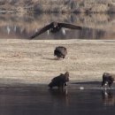 하대동243 이미지