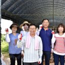 경제농장 이미지