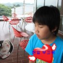 현일목장 이미지