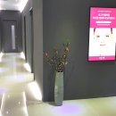 끌리메광주봉선점 이미지