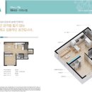 다온미즈 네이버블로그