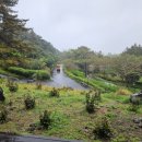 상효원 | 서귀포 상효원 후기 | 조용한 주말 힐링 산책코스