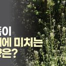 정통 호흡 요가 이미지