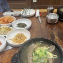 늘봄마인드 | 인생 첫 페스티벌[그린잇츠, 암소갈비, 초이다이닝, 서울재즈페스티벌, 미타테마인드, 마르르]
