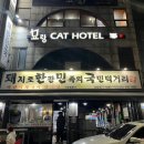 돼지로한판민족의국민먹거리(돼한민국) 이미지