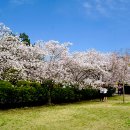 왕인박사유적지 이미지