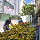 온천2동-9 이미지