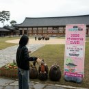 야생화 자수 | 2026 영암왕인문화축제 / 영암 왕인박사 벚꽃 / 현재 벚꽃 현황 / 축제후기