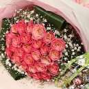 낙민체육관 이미지