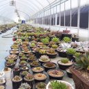 순익농장 이미지