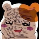 별가람마을1-4단지 | [남양주 별내]LH행복주택 별내별가람마을LH 1-2단지 사전점검 및 셀프 입주 청소 후기