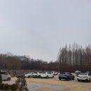 꽃샘길 화장실 | [애견동반카페] 메타포레스트 숲카페 메타세콰이어 강화도 대형 베이커리 카페 3월 방문 내돈내산 솔직후기