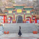 송월초등학교 | 인천 주말데이트 코스 추천 차이나타운 먹거리 놀거리 포토존